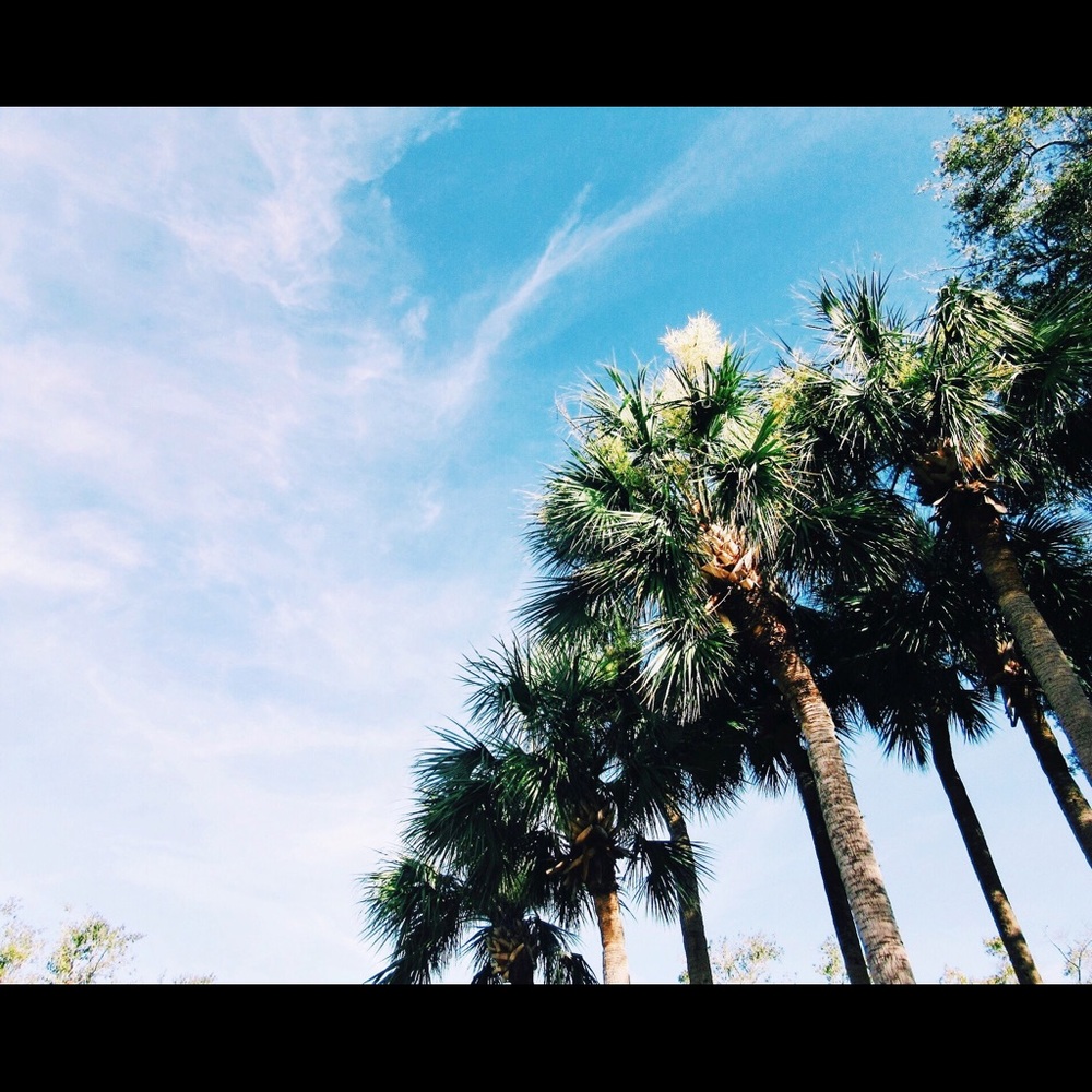 Meet your Posher, Elena